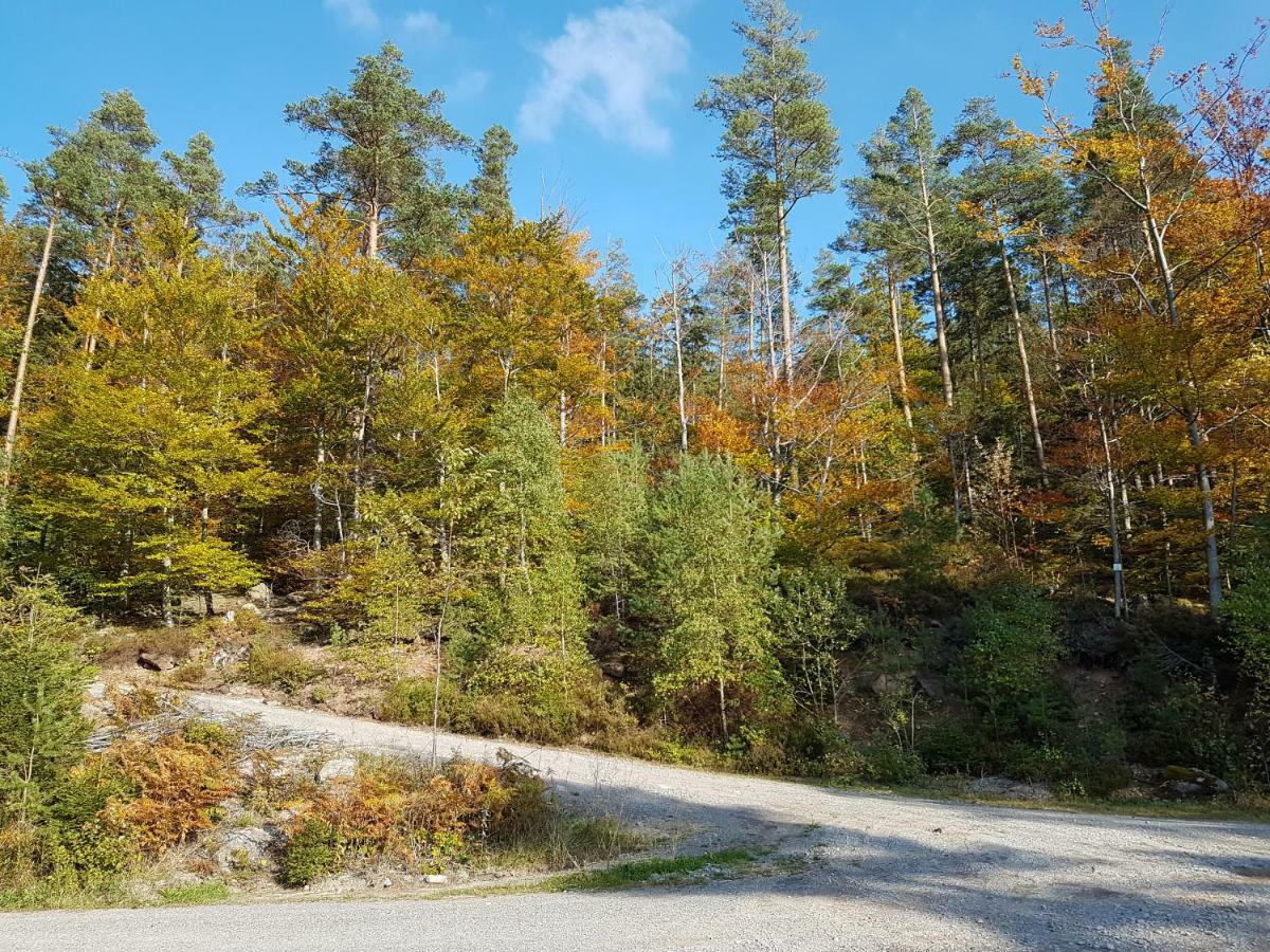 Stuermlesloch Apartment Bad Wildbad Luaran gambar